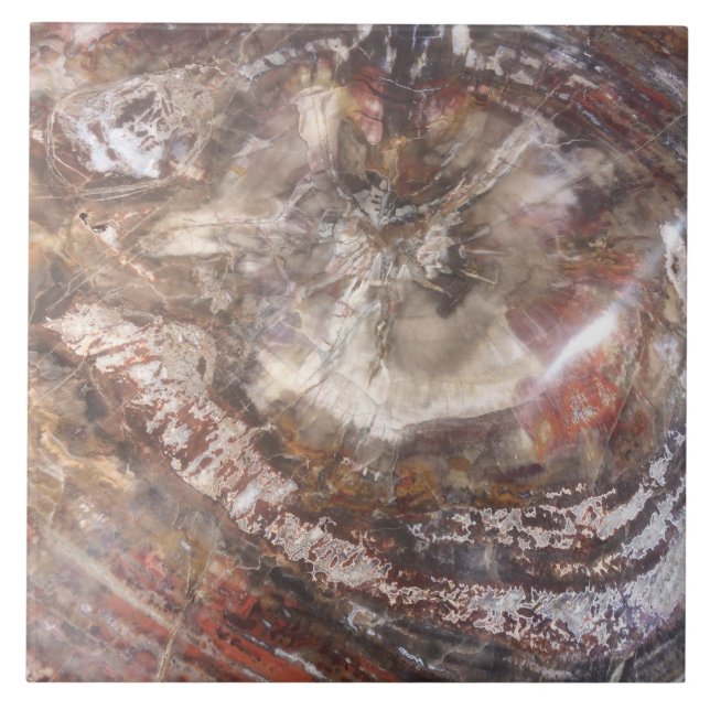 De Cerâmica Azulejo da madeira Petrified (Frente)