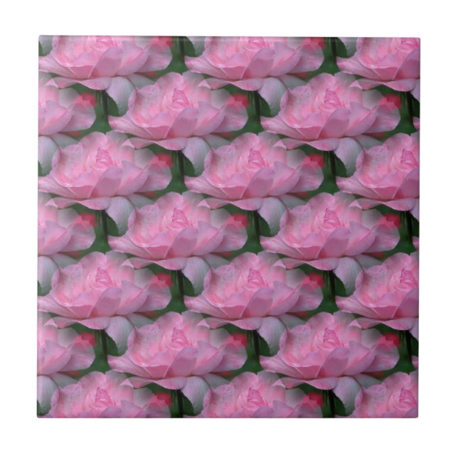 De Cerâmica Azulejo da Natureza da Arte Floral Rosa (Frente)
