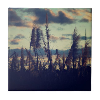 De Cerâmica Azulejo da natureza do por do sol
