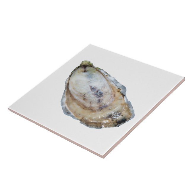 De Cerâmica Azulejo da ostra - projete um branco (Lateral)