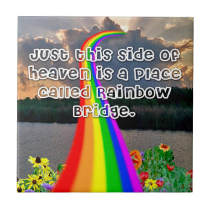 De Cerâmica Azulejo da ponte do arco-íris