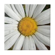 Azulejo Daisy Dew