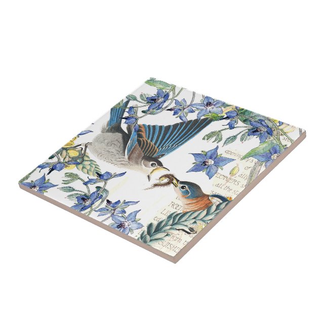 De Cerâmica Azulejo das flores do Borage dos pássaros do (Lateral)