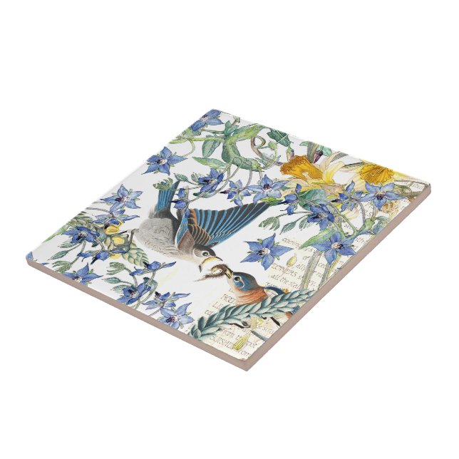 De Cerâmica Azulejo das flores do narciso dos pássaros do (Lateral)