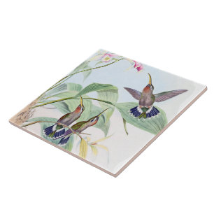 De Cerâmica Azulejo das flores dos animais dos animais