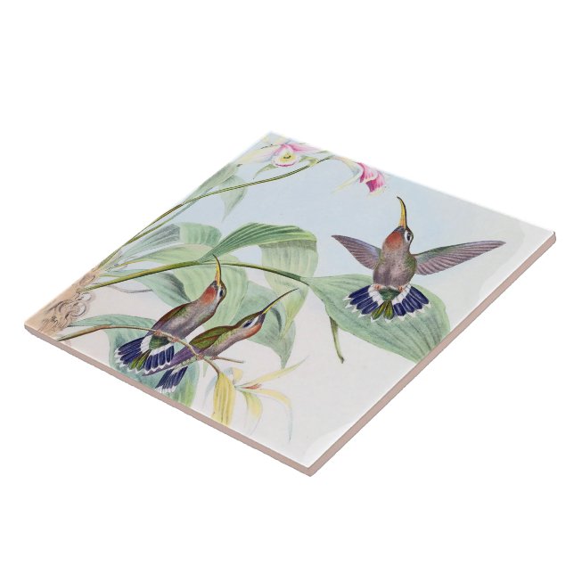 De Cerâmica Azulejo das flores dos animais dos animais (Lateral)