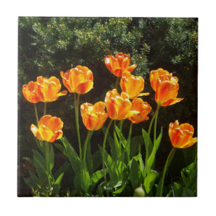 De Cerâmica Azulejo das Tulipas Laranja Amarelas