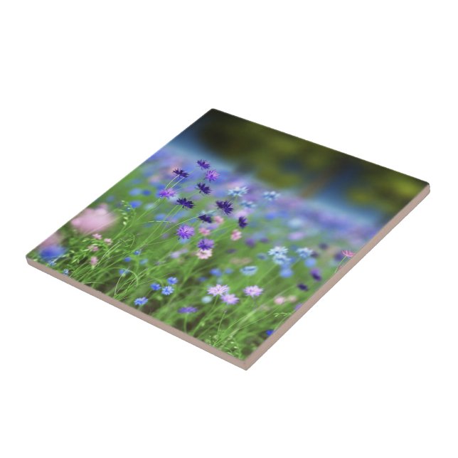 De Cerâmica Azulejo decorativo azul do Cornflower (Lateral)