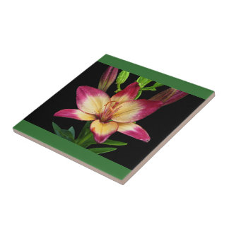 De Cerâmica Azulejo Decorativo Bold Lily