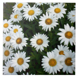 De Cerâmica Azulejo Decorativo Daisy