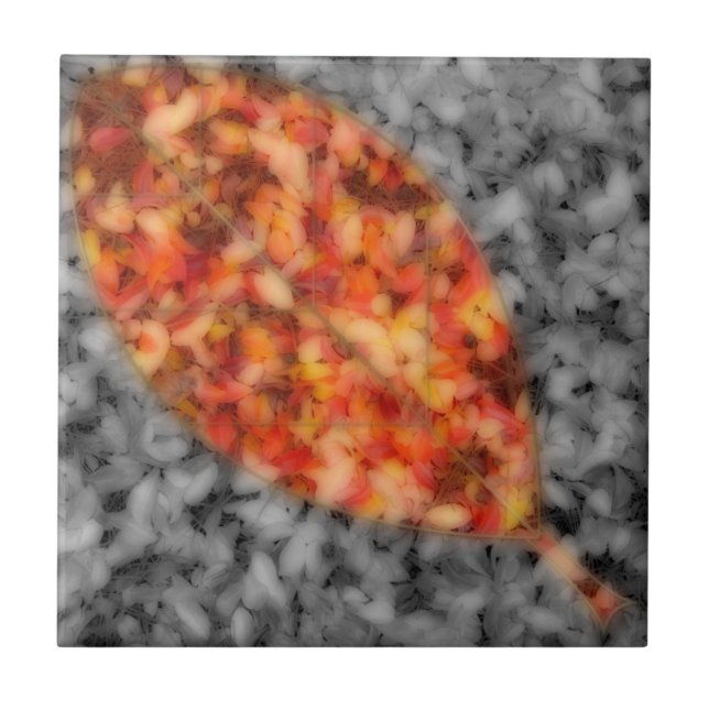 De Cerâmica Azulejo Decorativo das Sombras Brilhantes (Frente)