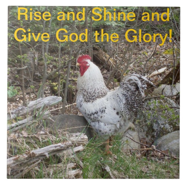 De Cerâmica Azulejo decorativo do galo (Frente)