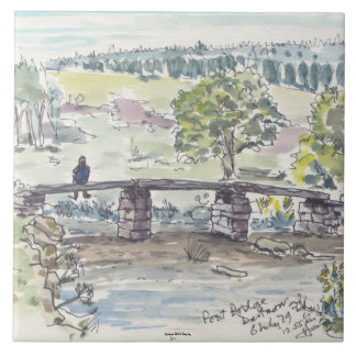 De Cerâmica Azulejo decorativo do projecto