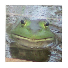 De Cerâmica Azulejo decorativo do Sapo