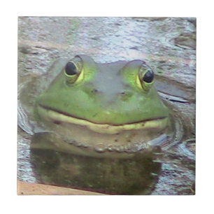 De Cerâmica Azulejo decorativo do Sapo