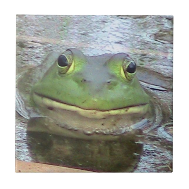 De Cerâmica Azulejo decorativo do Sapo (Frente)