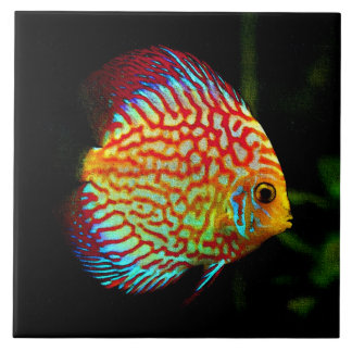 De Cerâmica Azulejo decorativo dos peixes do aquário do disco