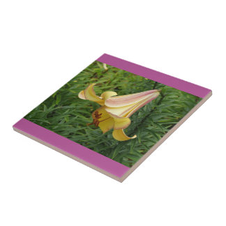 De Cerâmica Azulejo Decorativo Grand Lily