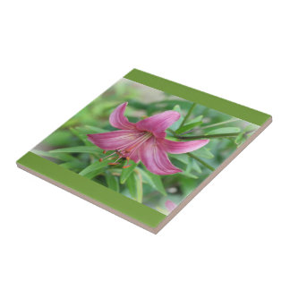 De Cerâmica Azulejo Decorativo Lírio Rosa