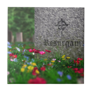 De Cerâmica Azulejo Decorativo Resurgam