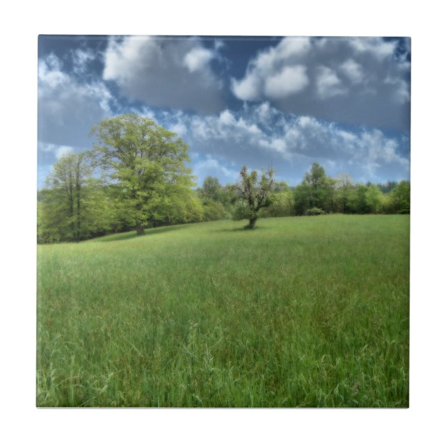 De Cerâmica Azulejo Decorativo Verde Appalachiano (Frente)