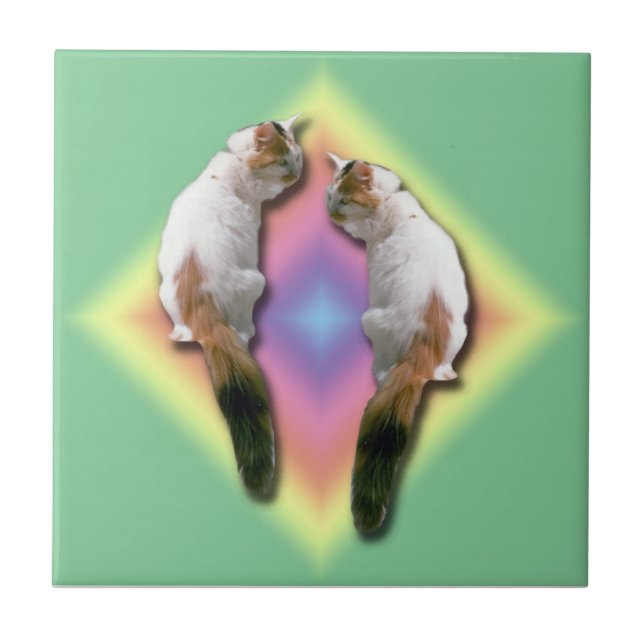 De Cerâmica Azulejo - Diamante arco-íris com gatos (Frente)