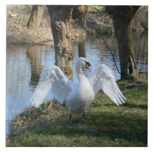 De Cerâmica Azulejo do Cisne em Pé com Asas Espalhadas