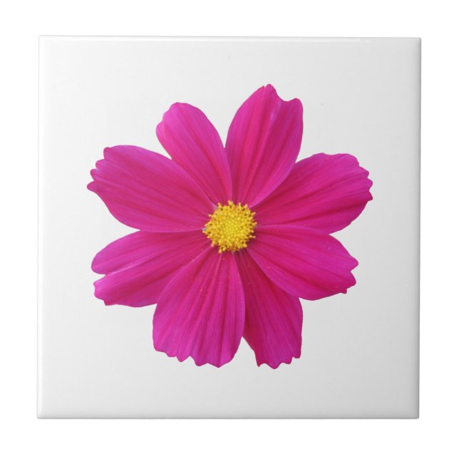 De Cerâmica Azulejo do Cosmos Flower (Frente)