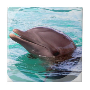 De Cerâmica Azulejo do design do golfinho