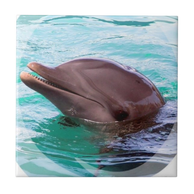 De Cerâmica Azulejo do design do golfinho (Frente)