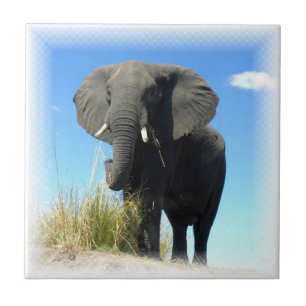 De Cerâmica Azulejo do elefante africano