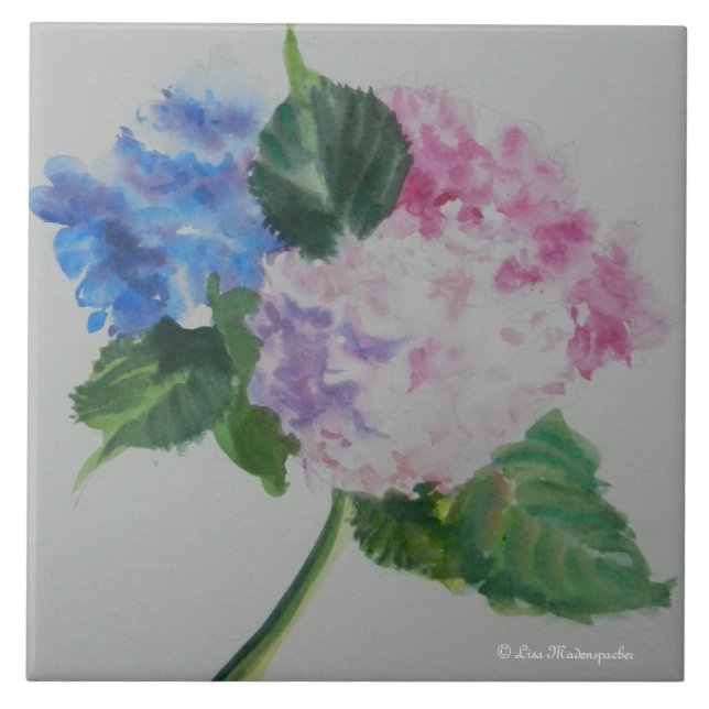 De Cerâmica Azulejo do Hydrangea (Frente)