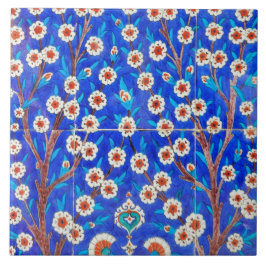 De Cerâmica azulejo do iznik
