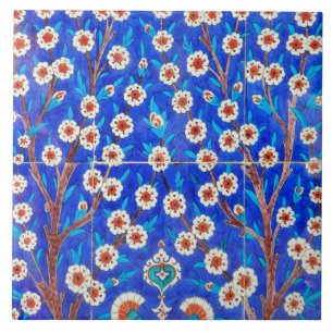 De Cerâmica azulejo do iznik