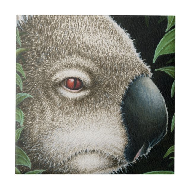 De Cerâmica Azulejo do Koala (Frente)