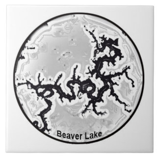 De Cerâmica Azulejo do lago beaver