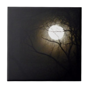 De Cerâmica Azulejo do Moonrise