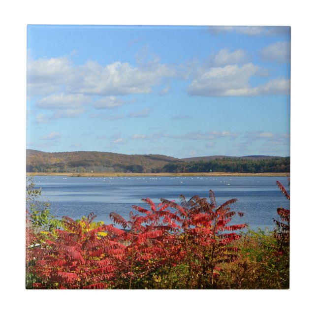 De Cerâmica Azulejo do rio Connecticut (Frente)