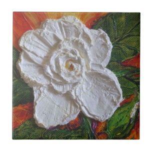 De Cerâmica Azulejo do rosa branco