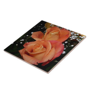 De Cerâmica Azulejo do rosa da laranja