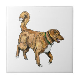 De Cerâmica Azulejo do Toller