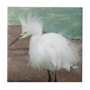 De Cerâmica Azulejo dos Egrets nevado