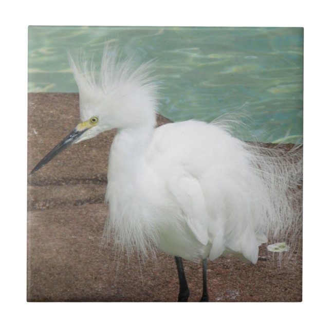De Cerâmica Azulejo dos Egrets nevado (Frente)