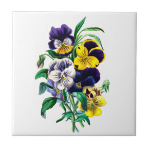 De Cerâmica Azulejo dos Pansies