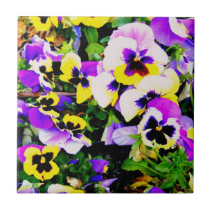 De Cerâmica azulejo dos pansies da multi-cor