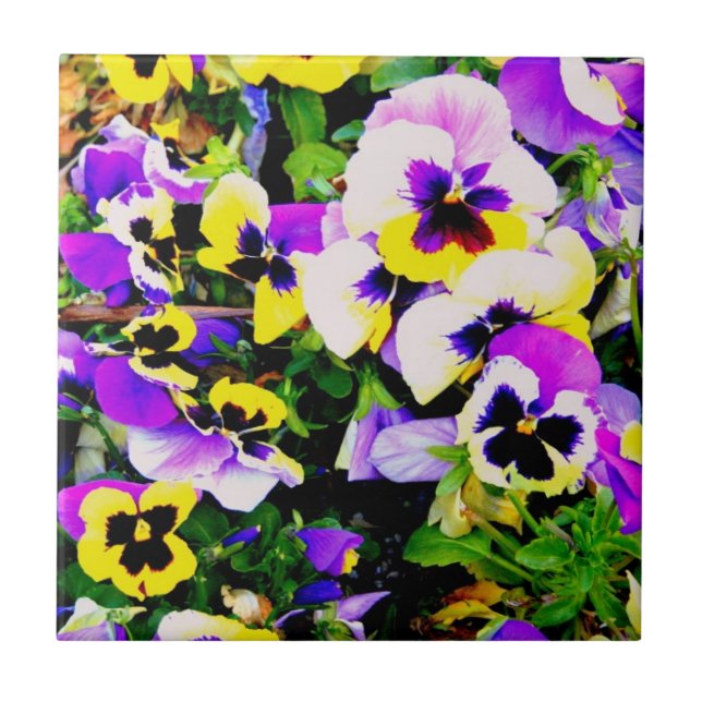 De Cerâmica azulejo dos pansies da multi-cor (Frente)