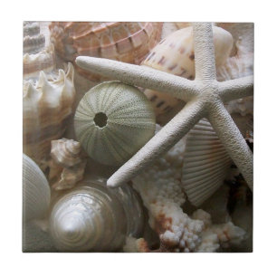 De Cerâmica Azulejo dos Seashells