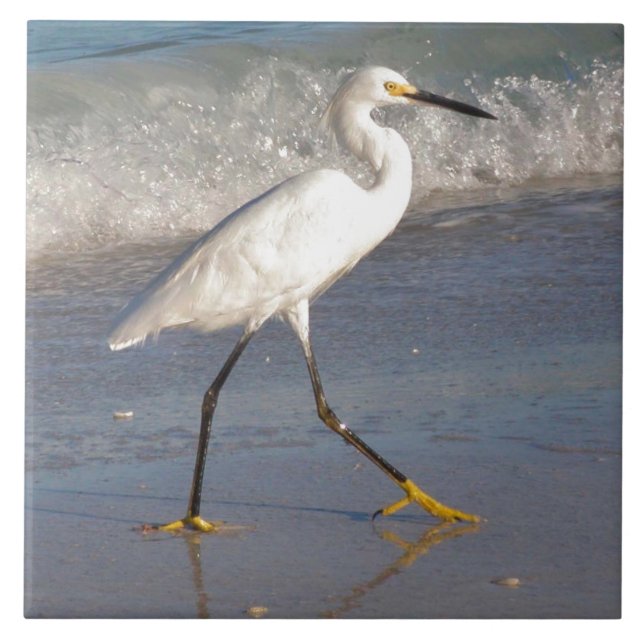 De Cerâmica Azulejo Egret Branco (Frente)