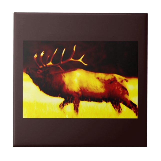 De Cerâmica Azulejo Elk Horn Elk (Frente)