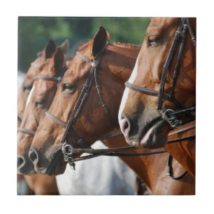 De Cerâmica Azulejo eqüino da mostra do cavalo